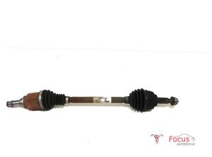 Drive Shaft RENAULT KANGOO Express (FW0/1_)