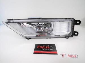 Mistlamp VW Tiguan (AD1, AX1), VW Tiguan Allspace (BW2)