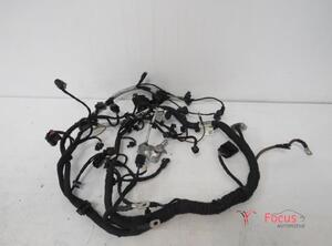 Wiring Harness VW Passat Variant (3G5, CB5)