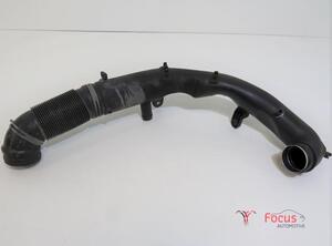 Leitung Seat Toledo III 5P 446192600 P10547547