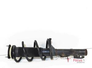 Suspension Strut FORD Transit V363 Kasten (FCD, FDD)