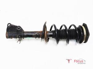 Suspension Strut RENAULT KANGOO Express (FW0/1_)