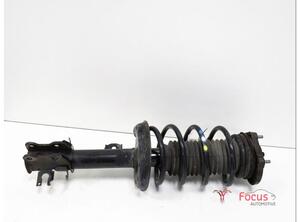 Suspension Strut FIAT Fiorino Kasten/Großraumlimousine (225), FIAT Qubo (225)