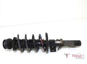 Suspension Strut SKODA FABIA II (542)