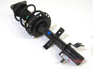 Suspension Strut RENAULT Captur I (H5, J5), RENAULT Clio IV (BH)