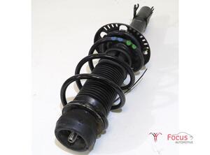 Suspension Strut SKODA Citigo (--)