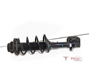 Suspension Strut SUZUKI ALTO (GF)