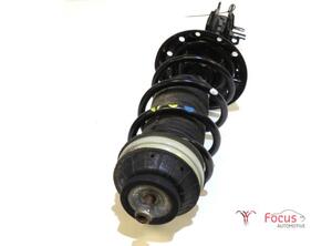 Suspension Strut FIAT PANDA (312_, 319_), LANCIA YPSILON (312_), FIAT PANDA VAN (312_, 519_)