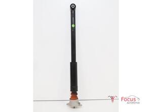 Shock Absorber FORD Fiesta VI (CB1, CCN)