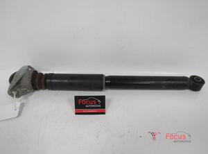 Shock Absorber AUDI A3 (8P1), AUDI A3 Sportback (8PA)