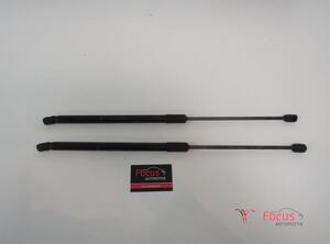 Gas Spring AUDI A3 Sportback (8VA, 8VF), AUDI A6 Allroad (4GH, 4GJ)