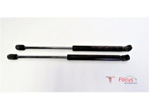 Bootlid (Tailgate) Gas Strut Spring KIA Picanto (TA)