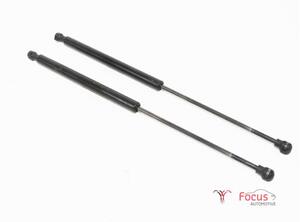 Bootlid (Tailgate) Gas Strut Spring RENAULT Twingo III (BCM)