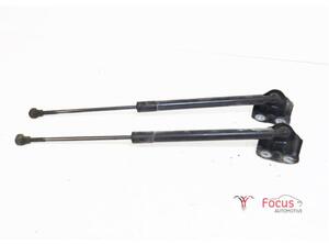 Gasveer kofferruimte RENAULT Clio III (BR0/1, CR0/1), RENAULT Clio IV (BH)