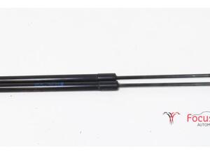 Bootlid (Tailgate) Gas Strut Spring FORD Fiesta VI Van (--)