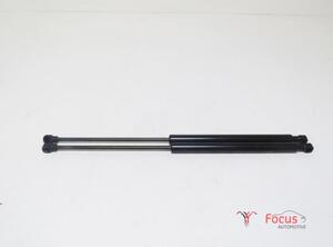 Bootlid (Tailgate) Gas Strut Spring RENAULT Twingo III (BCM)