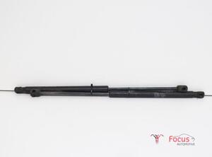 Bootlid (Tailgate) Gas Strut Spring KIA Picanto (BA)