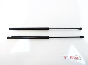 Bootlid (Tailgate) Gas Strut Spring PEUGEOT 206+ (2L, 2M)