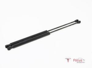 Bootlid (Tailgate) Gas Strut Spring RENAULT Twingo III (BCM)