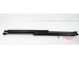 Bootlid (Tailgate) Gas Strut Spring PEUGEOT PARTNER TEPEE, PEUGEOT PARTNER Box Body/MPV, PEUGEOT 301, BMW X5 (F15, F85)