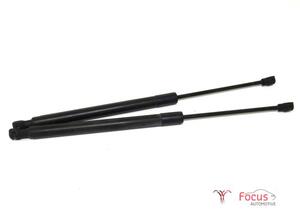 Bootlid (Tailgate) Gas Strut Spring RENAULT CLIO IV (BH_), RENAULT CAPTUR I (J5_, H5_), RENAULT CLIO III (BR0/1, CR0/1)