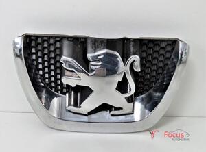 Radiateurgrille PEUGEOT 206+ (2L, 2M)