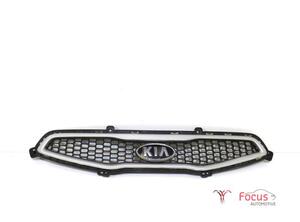 Radiator Grille KIA Picanto (TA), KIA Picanto (JA)