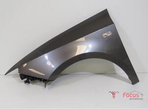 Wing SEAT Ibiza IV (6J5, 6P1), SEAT Ibiza IV Sportcoupe (6J1, 6P5)