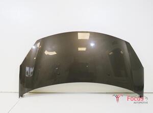 Motorhaube Citroen C3 II SC 7901R1 P15504125