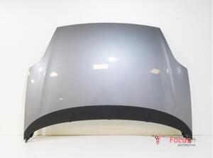 Bonnet FIAT PUNTO (199_), FIAT GRANDE PUNTO (199_), FIAT PUNTO EVO (199_)