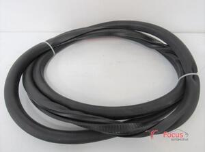 Door Seal VW Tiguan (5N)