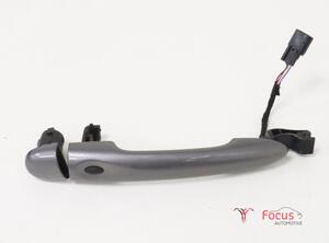 Door Handle RENAULT Captur I (H5, J5), RENAULT Clio IV (BH)