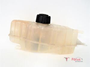 Coolant Expansion Tank RENAULT Clio III Grandtour (KR0/1)