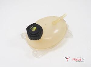 Coolant Expansion Tank RENAULT Captur I (H5, J5), RENAULT Clio IV (BH)