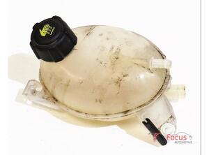 Coolant Expansion Tank RENAULT Clio IV (BH)