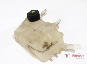 Coolant Expansion Tank RENAULT Megane III Grandtour (KZ0/1)