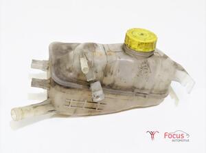 Coolant Expansion Tank RENAULT Scénic III (JZ0/1), RENAULT Grand Scénic III (JZ0/1)