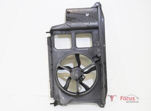 Radiator Electric Fan  Motor PEUGEOT 206+ (2L, 2M)