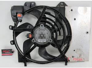 Radiator Electric Fan  Motor PEUGEOT 207 (WA, WC)