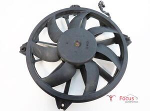 Radiator Electric Fan  Motor PEUGEOT 308 SW I (4E_, 4H_)