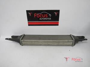 Intercooler FIAT Grande Punto (199), FIAT Punto Evo (199)