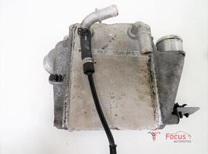 Interkoeler tussenkoeler FORD Focus III (--)