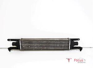 Intercooler FIAT GRANDE PUNTO (199_), FIAT PUNTO (199_), FIAT PUNTO EVO (199_)