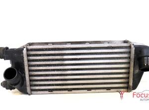 Intercooler FIAT 500 (312_), FIAT 500 C (312_)