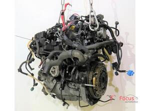 Bare Engine RENAULT Clio III (BR0/1, CR0/1), RENAULT Clio IV (BH)