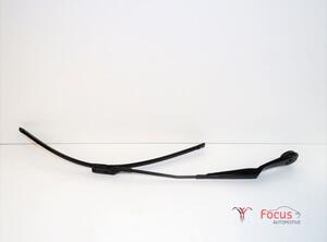 Wiper Arm FORD Focus III (--)