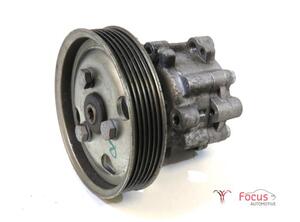 Power steering pump FIAT Doblo Cargo (263), FIAT Doblo Pritsche/Fahrgestell (263), FIAT Doblo Großraumlimousine (263)