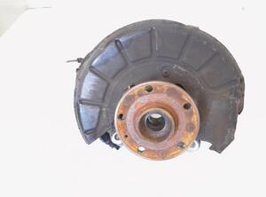 Stub Axle VW CC (358), VW PASSAT CC (357), VW PASSAT (362), VW PASSAT Variant (3C5)