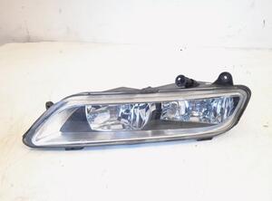 Fog Light VW PASSAT ALLTRACK B7 (365), VW PASSAT B7 Variant (365)