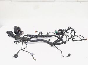 Wiring Harness AUDI Q5 (8RB)